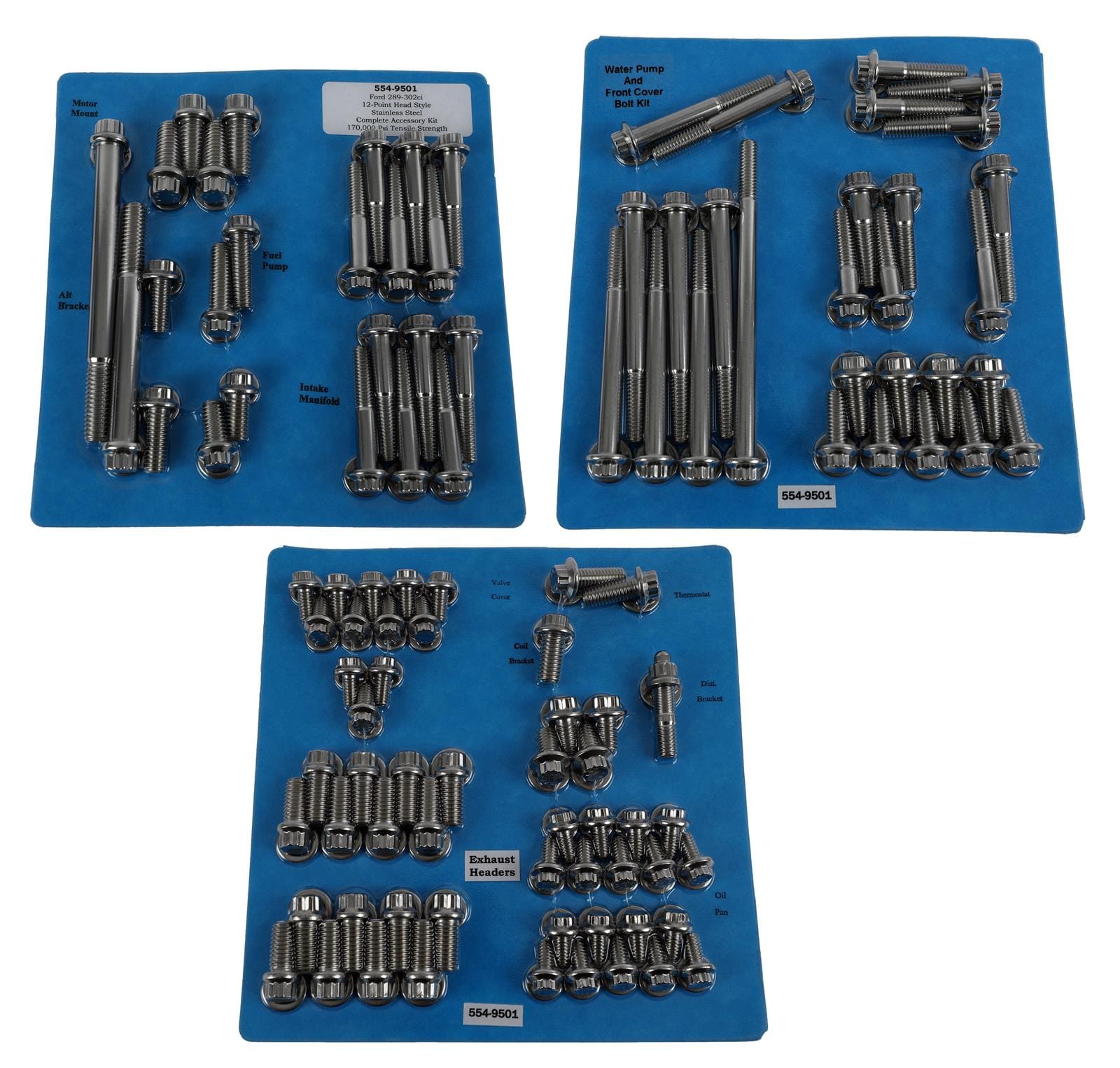 ARP ARP SB Ford 289-302 "A" SS 12pt accessory kit (554-9501) SR