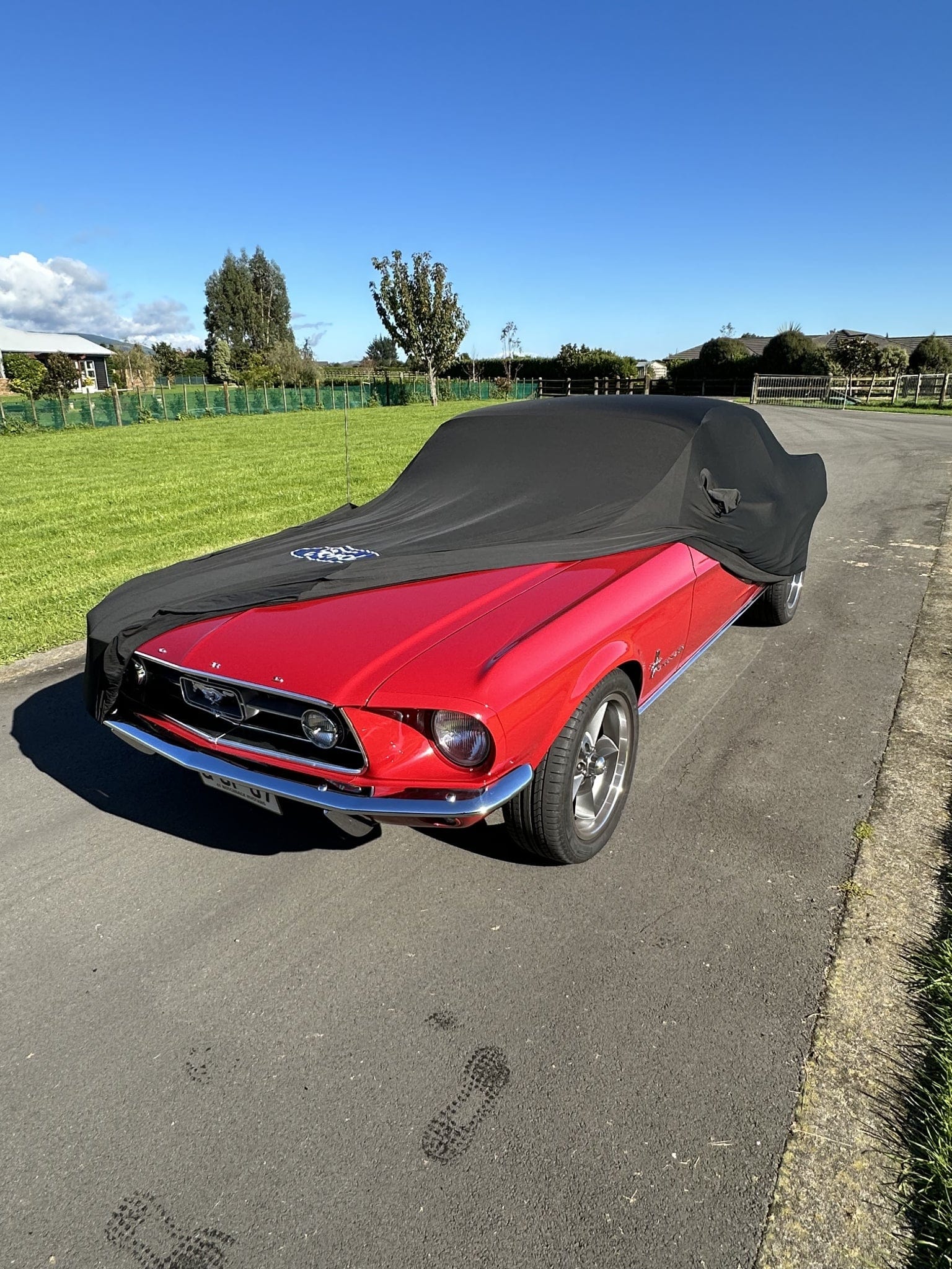 Boosted Kiwi Boosted Kiwi Black / Ford / Standard Ford Mustang First Generation (1965 - 1973) Custom Fit Indoor Car Cover SR