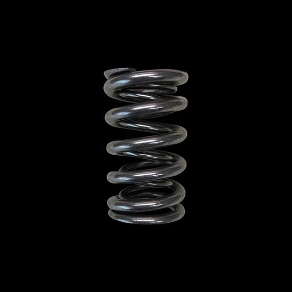 Brian Crower Brian Crower Dual spring for High Lift Cams BC0047 / BC0047-2 K20A2 K20Z3 BC1040T SR