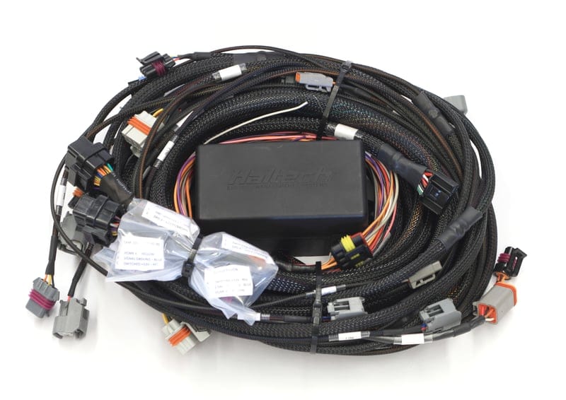 HALTECH Elite 2500 GM GEN III LS1 & LS6 (DBW Retrofit Ready) Terminated Harness Injector Connector: Bosch EV1 (as per factory) HALTECH Elite 2500 GM GEN III LS1 & LS6 (DBW Retrofit Ready) Terminated Harness Injector Connector: Bosch EV1 (as per factory) SR