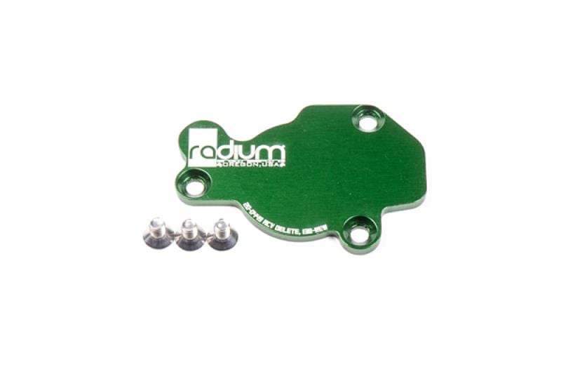 Radium Engineering Radium Engineering Charge Motion Control Valve Delete Plates 20-0449 SR