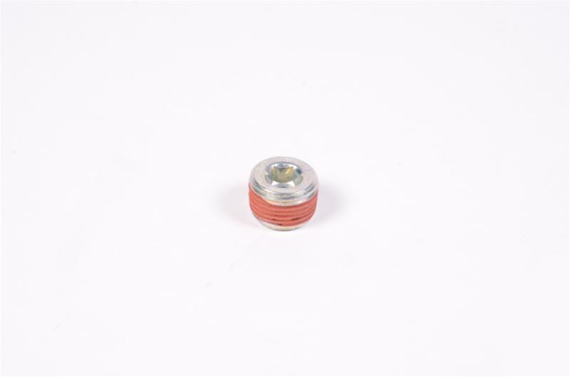 Radium Engineering Radium Engineering Plug Fittings 14-0173 SR