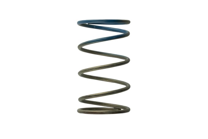 Turbosmart Turbosmart Gen4 / IWG WG38/40/45/50L 10PSI OUTER SPRING - BROWN/BLUE Turbosmart Wastegate Spring TS-0505-2005 SR