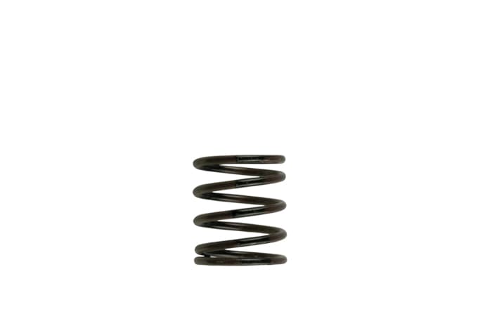 Turbosmart Turbosmart Gen4 / IWG WG38/40/45/50L 3PSI INNER SPRING - BROWN/BLACK Turbosmart Wastegate Spring TS-0505-2001 SR