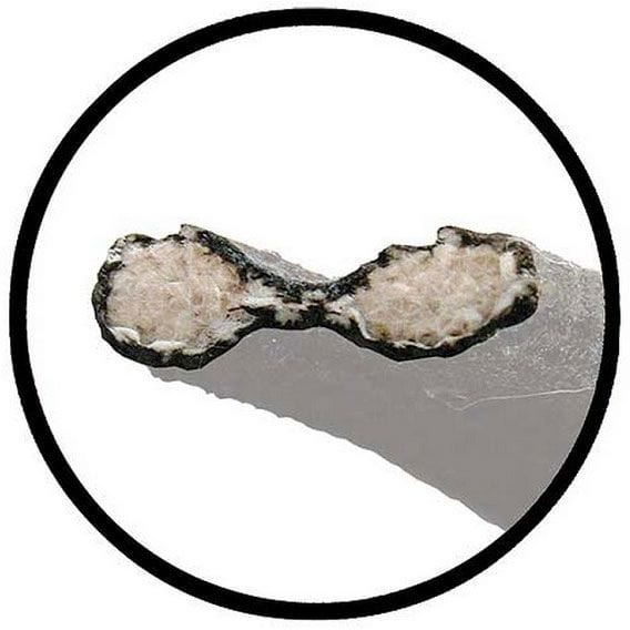 VINTIQUE Suit 1933-34 Passenger Car, Cloth Lace With Rivets Vintique Vintique Inc Grill To Bonnet Lace Kit VI40-16739-S SR