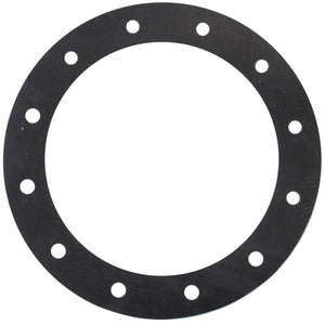 Aeroflow Replacement Viton Gasket AF59-2070
