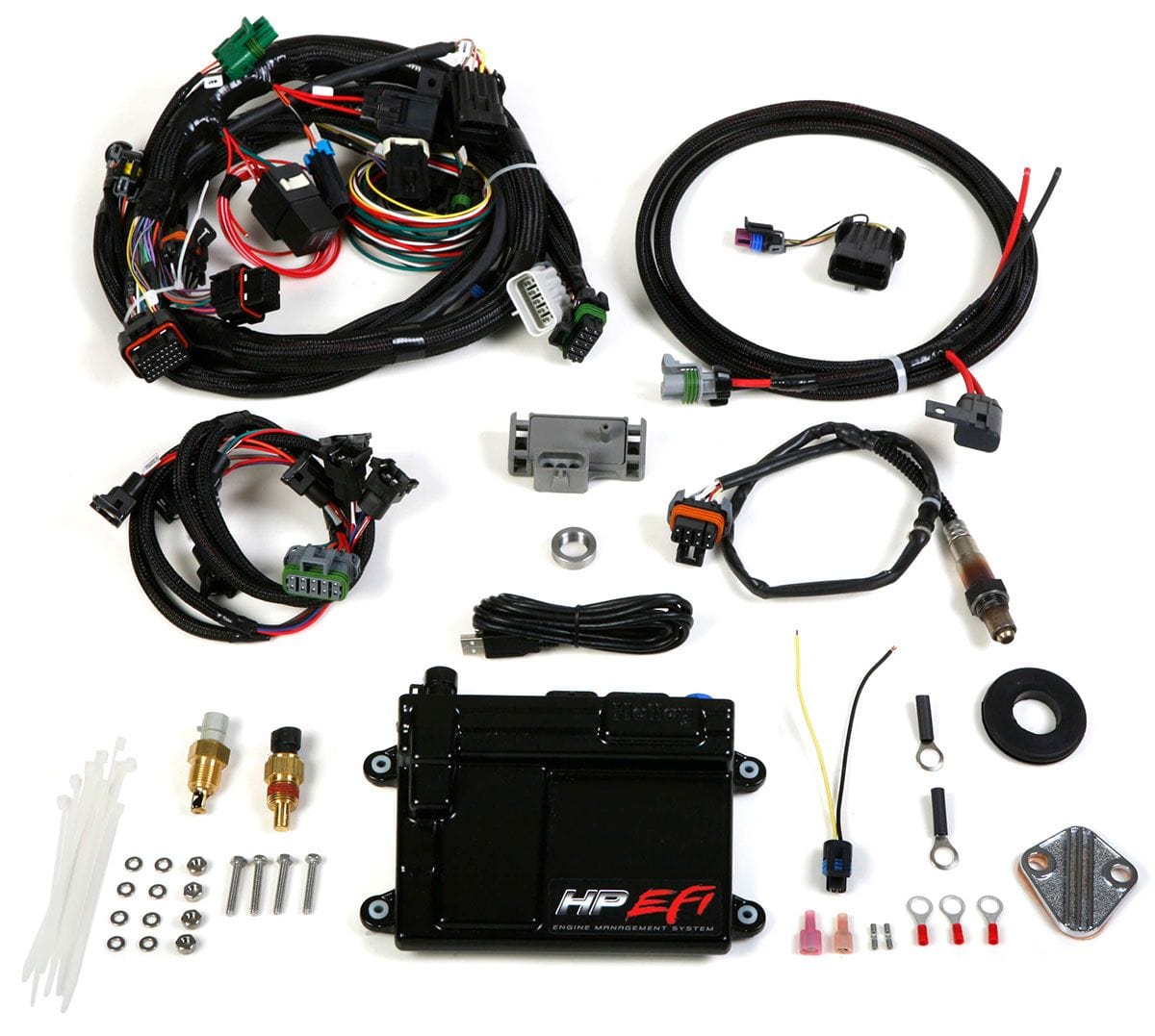 HOLLEY Suit GM TPI & Holley Stealth Ram Holley HP EFI ECU & Harness Kit HO550-601 SR