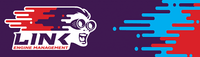 Link ECU