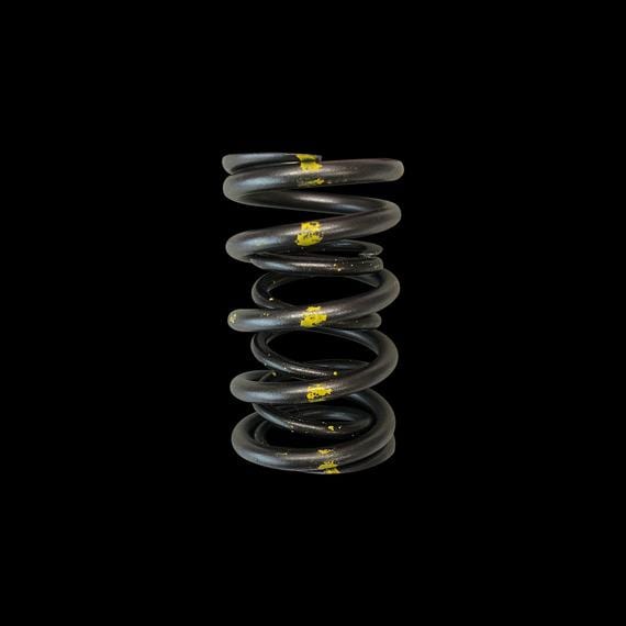 Brian Crower Brian Crower DUAL VALVE SPRINGS Toyota 2JZGTE Lexus 2JZGE BC1310 SR