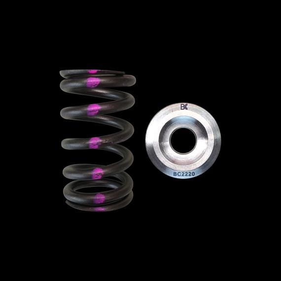 Brian Crower Brian Crower Valve Springs Ti Retainers Sentra SER SE-R 02-06 2.5L QR25DE BC0260 SR