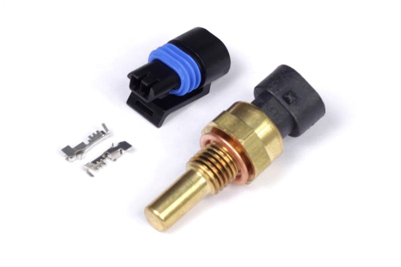 Haltech ECU Haltech Coolant Temp Sensor - Small Thread M12 x 1.5 HT-010300 SR