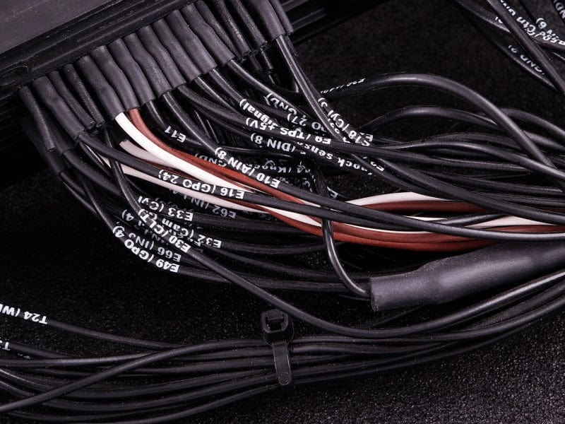 Maxx ECU Engine Management MAXX1713 Ford Mustang GT V8 2011 - 2014 MaxxECU PRO Plugin STANDARD SR