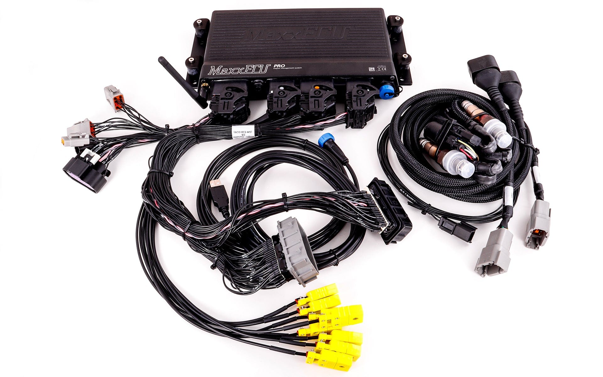 Maxx ECU Engine Management MAXX1815 GM Corvette C6 (E38 ECM) MaxxECU PRO Plugin EXTRA MAXX1962 SR