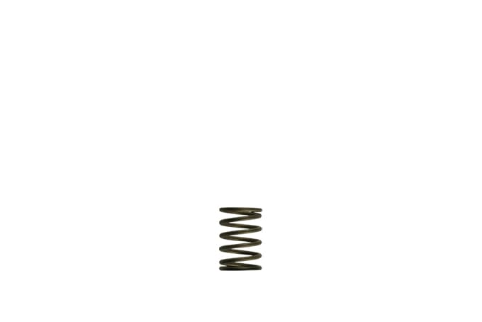 Turbosmart Turbosmart GenV WG38/40 3psi Black Inner Spring Turbosmart GenV WG38/40 3psi Black Inner Spring SR