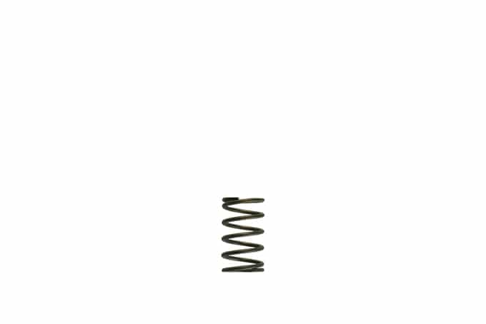 Turbosmart Turbosmart GenV WG38/40 5psi Grey Inner Spring Turbosmart GenV WG38/40 5psi Grey Inner Spring SR