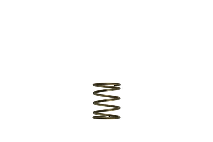 Turbosmart Turbosmart GenV WG45/50 3psi Orange Inner Spring Turbosmart GenV WG45/50 3psi Orange Inner Spring SR