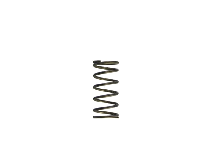 Turbosmart Turbosmart GenV WG60 5psi Purple Inner Spring Turbosmart GenV WG60 5psi Purple Inner Spring SR